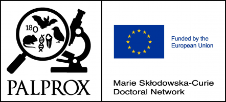 PALPROX Doctoral School